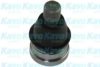 MAZDA DE5F34300C Ball Joint